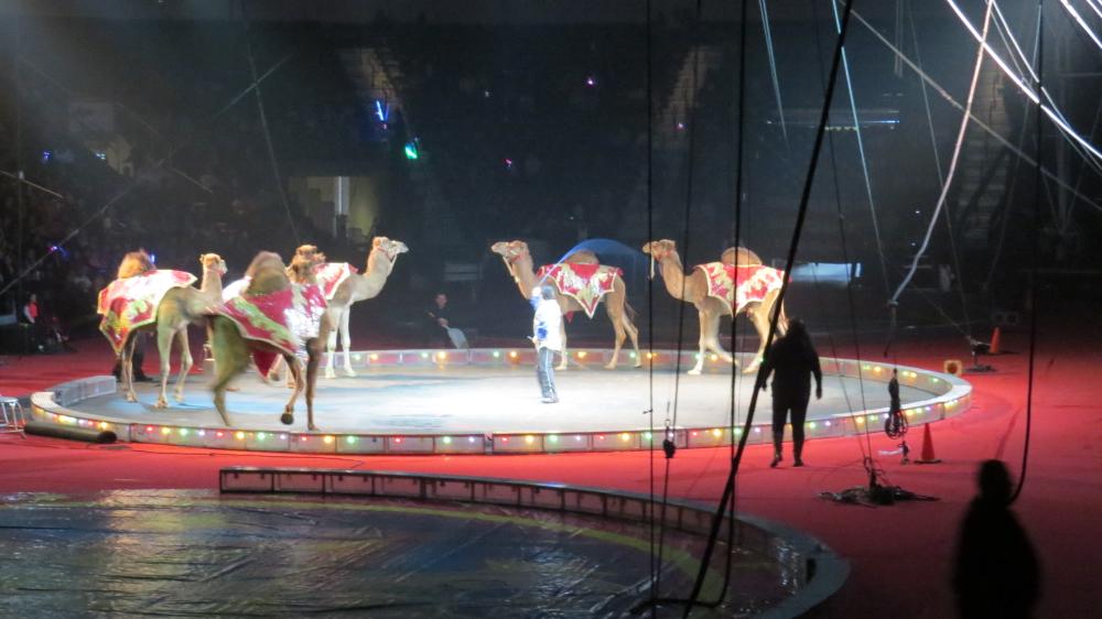 click for larger size