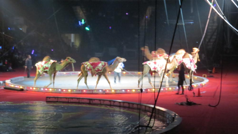 click for larger size