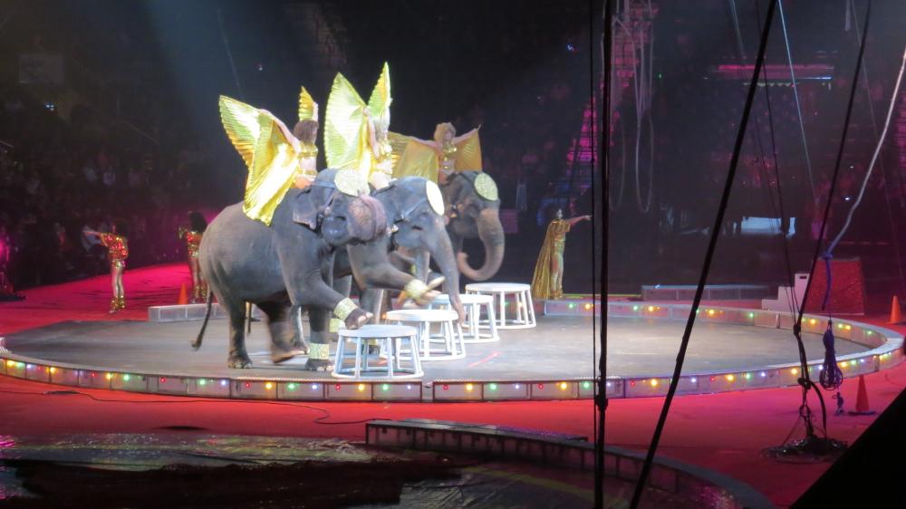 click for larger size