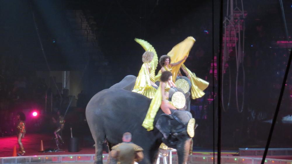 click for larger size