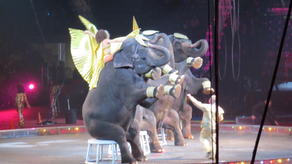 click for larger size