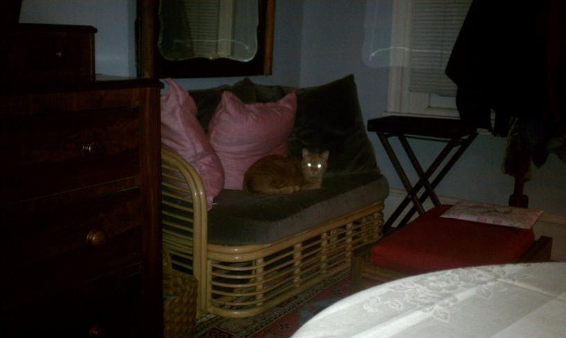 click for larger size