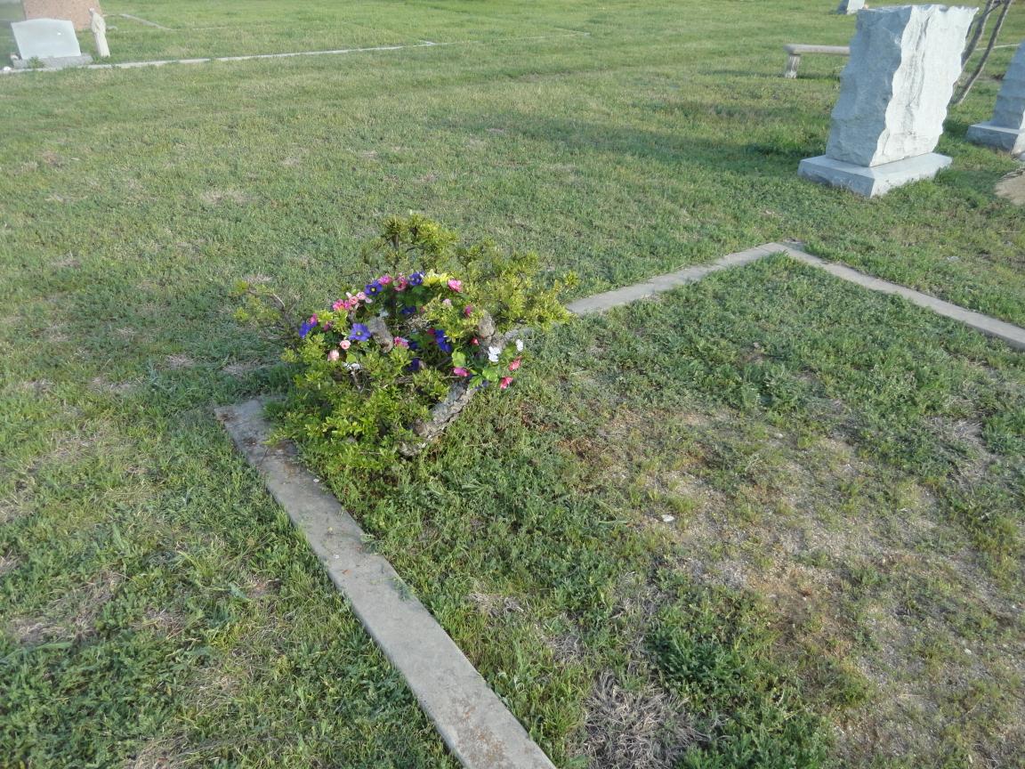 click for larger size