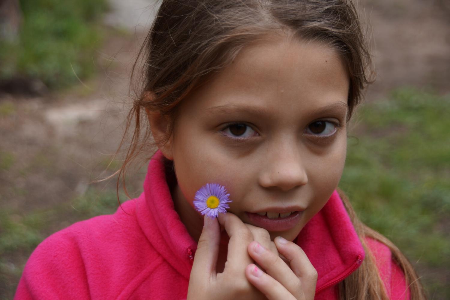 click for larger size