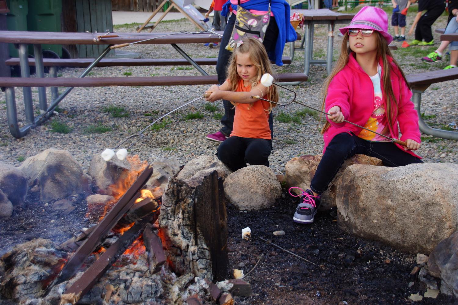 click for larger size