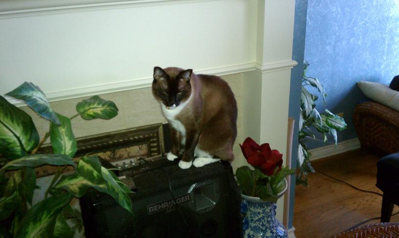 click for larger size