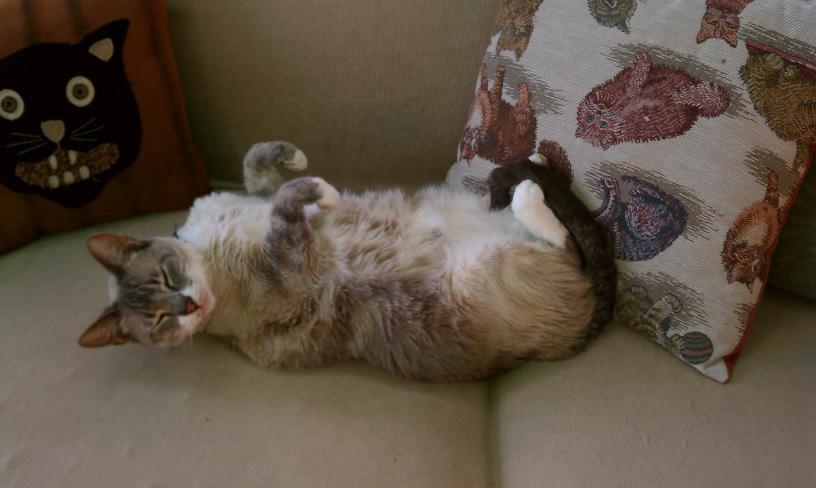 click for larger size