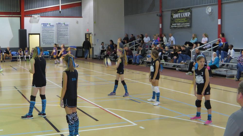 click for larger size