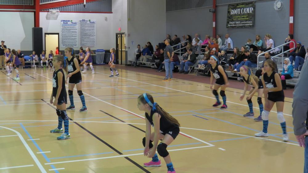 click for larger size