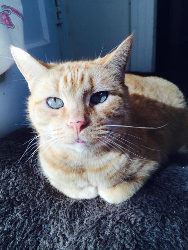 click for larger size