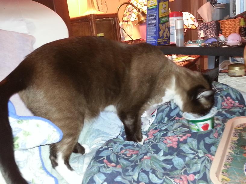 click for larger size