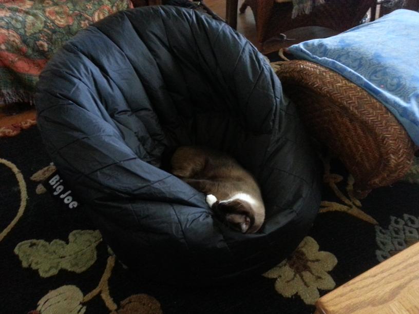 click for larger size