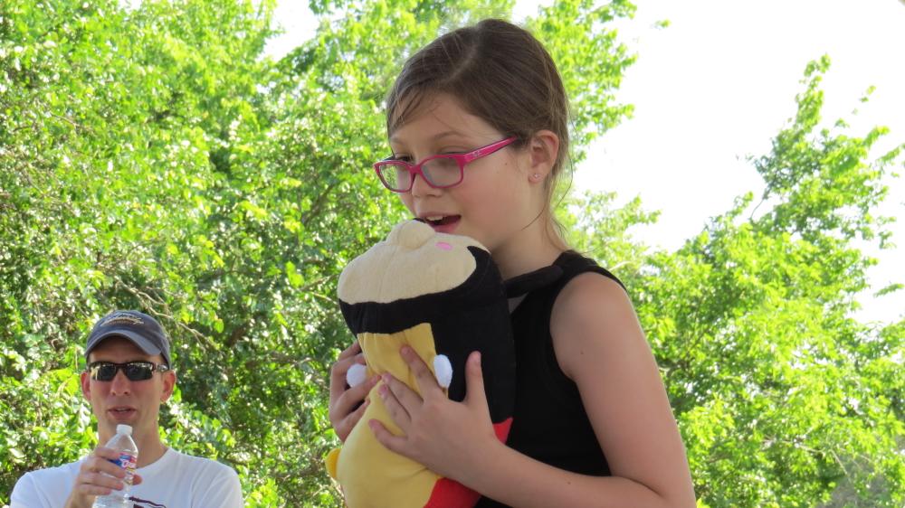 click for larger size