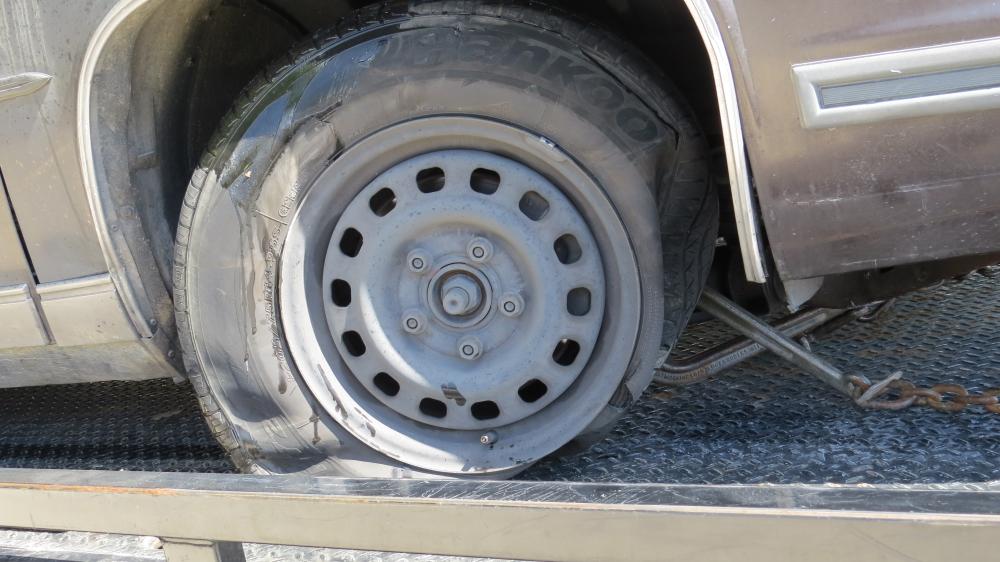 click for larger size