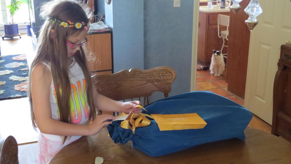 click for larger size