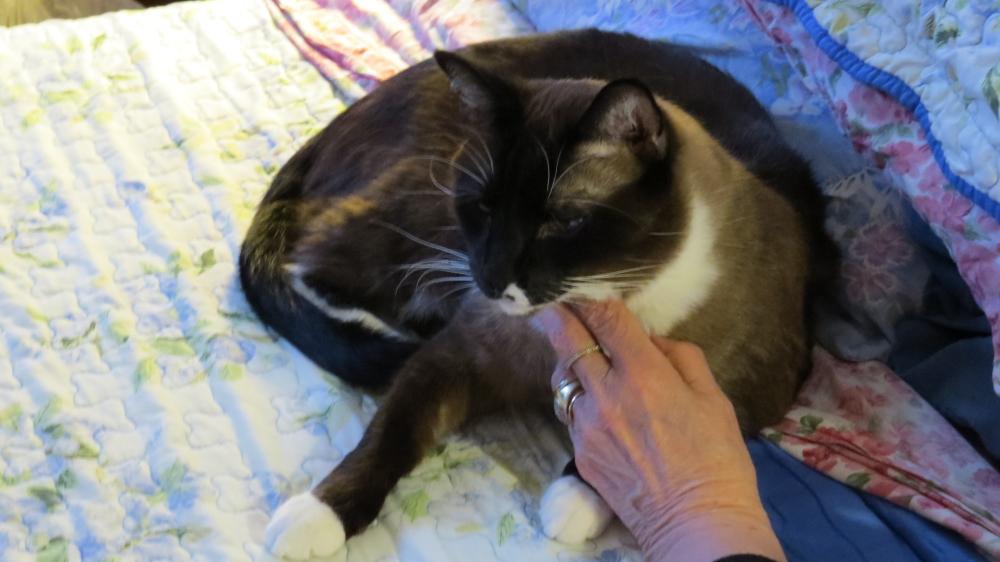 click for larger size