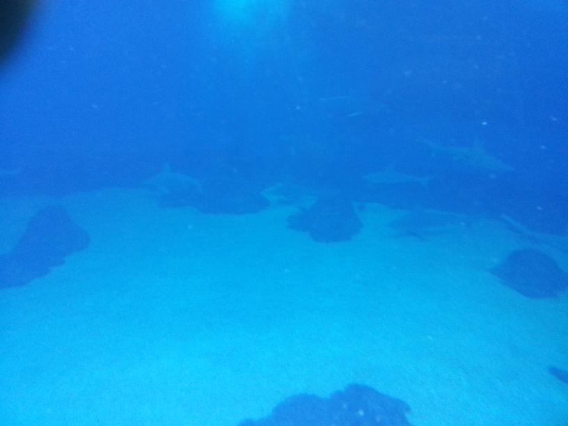 click for larger size