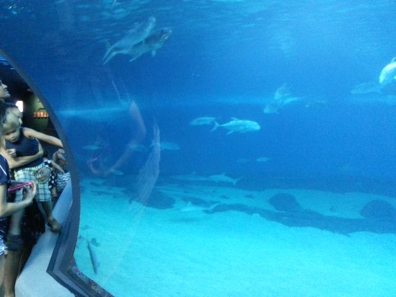 click for larger size