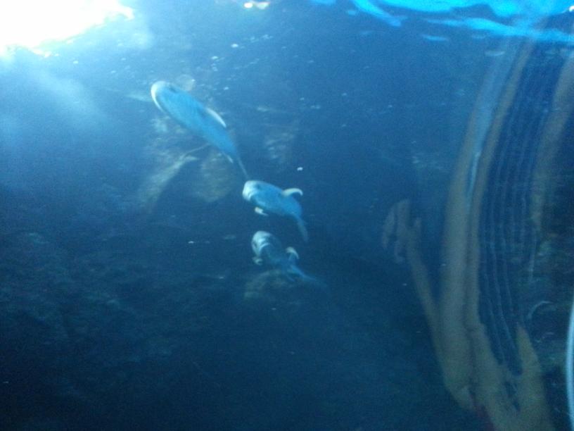 click for larger size