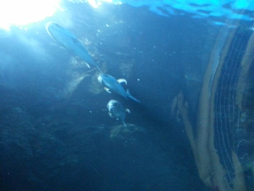 click for larger size