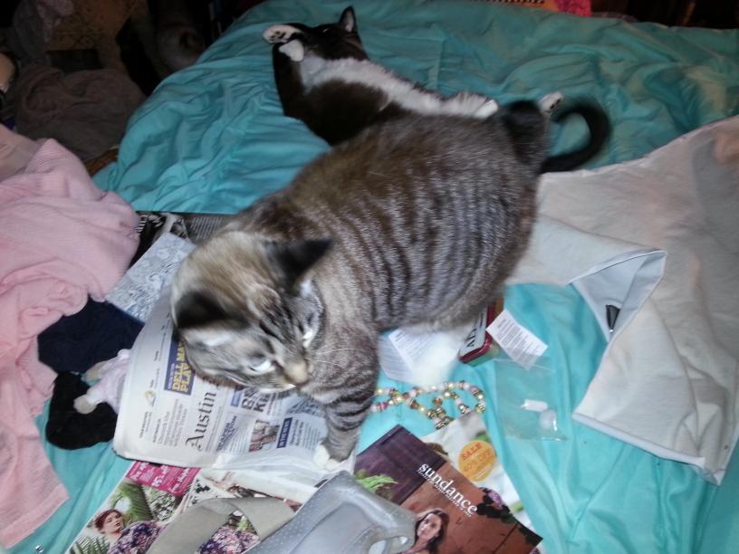 click for larger size