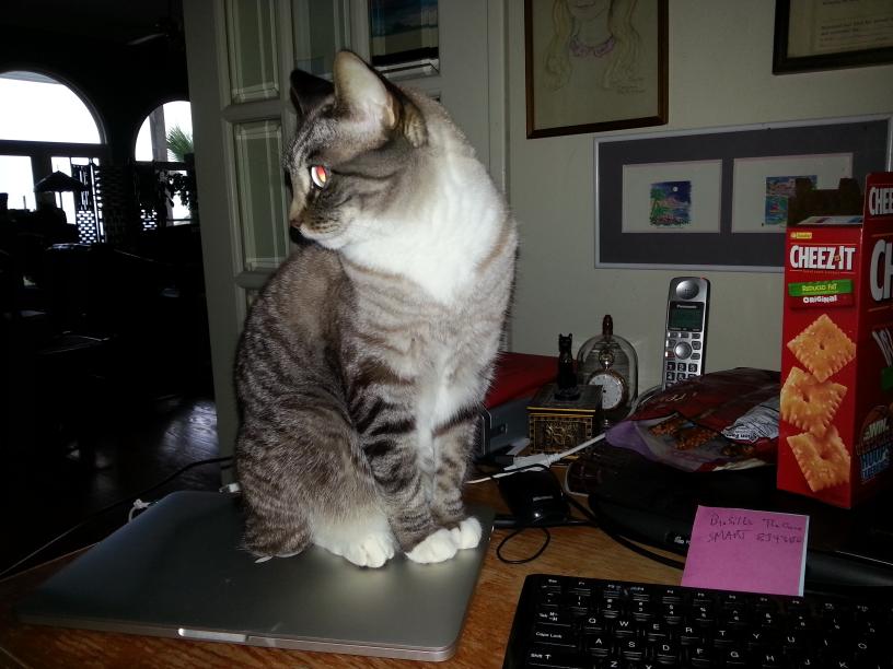 click for larger size