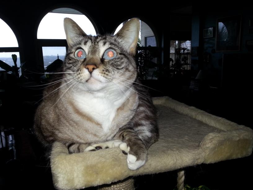 click for larger size