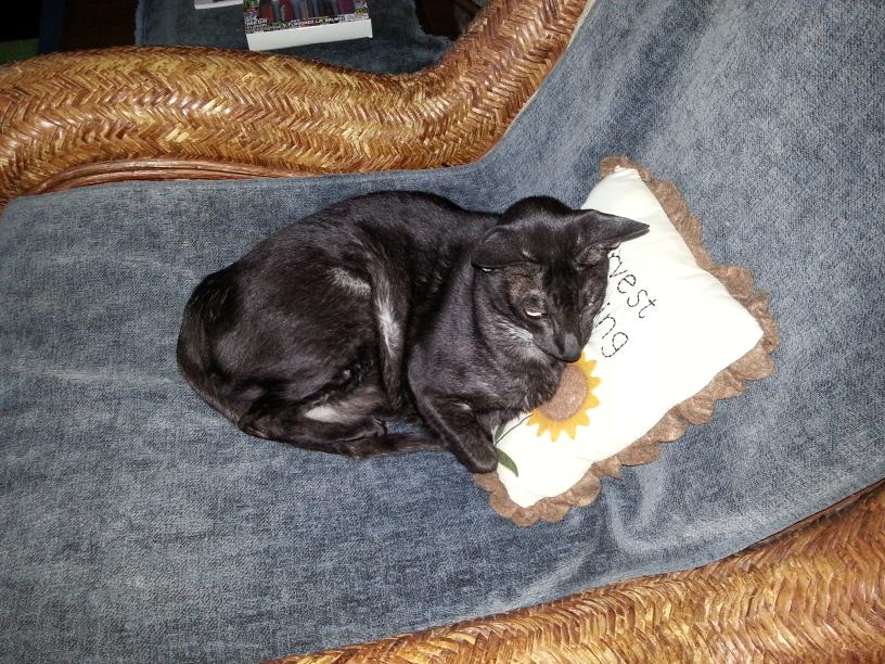 click for larger size