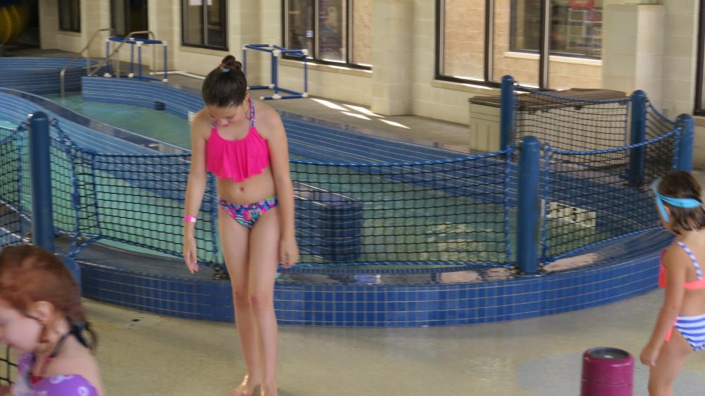 click for larger size