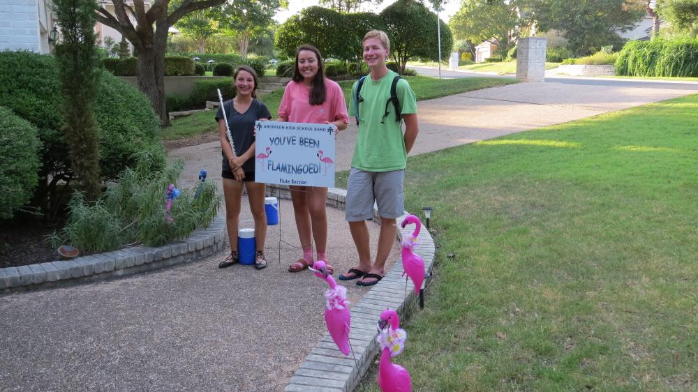 click for larger size