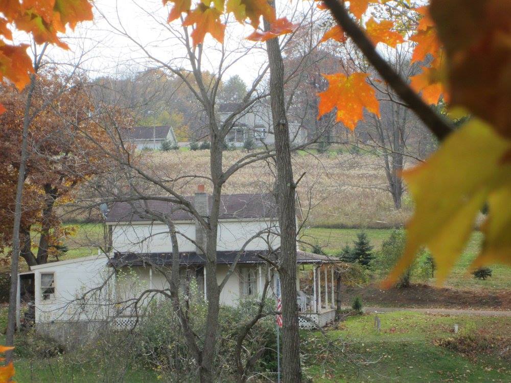 click for larger size