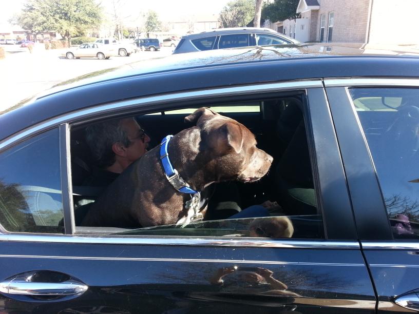 click for larger size