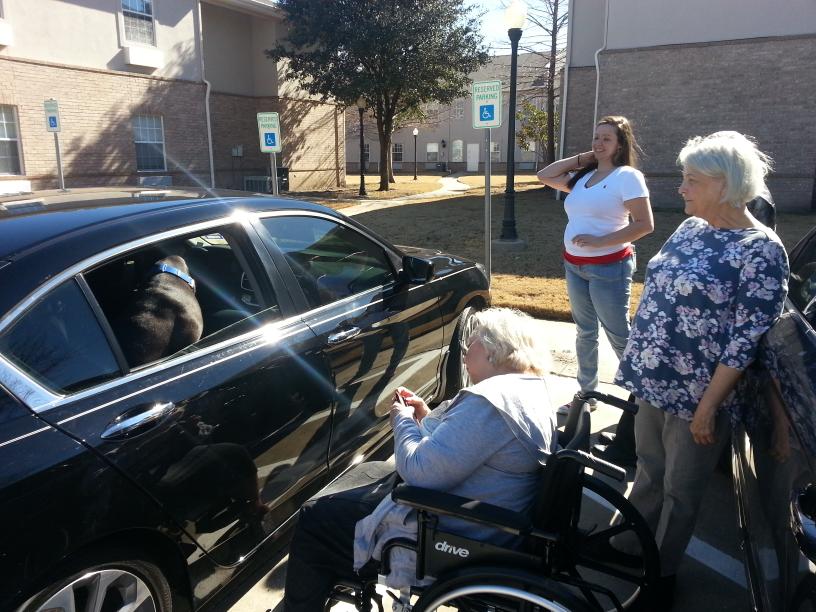 click for larger size