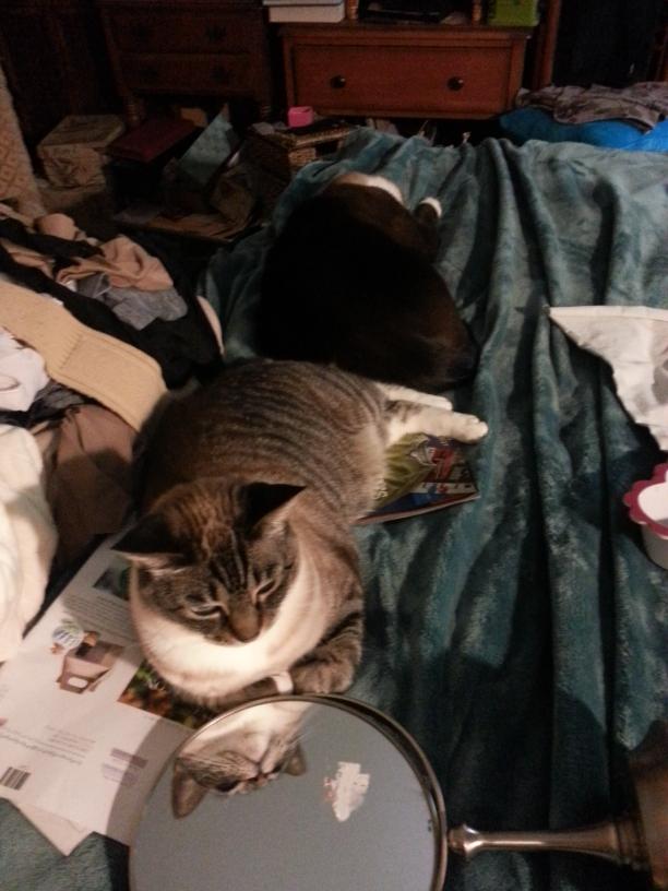 click for larger size