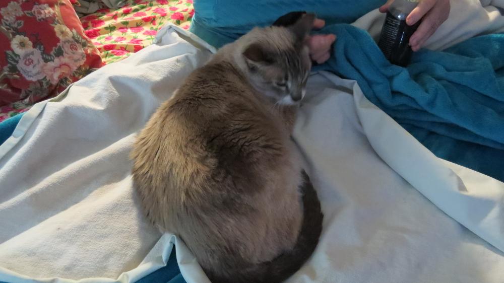 click for larger size