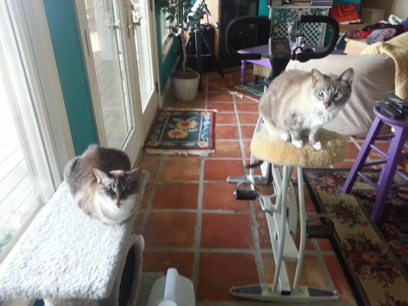 click for larger size