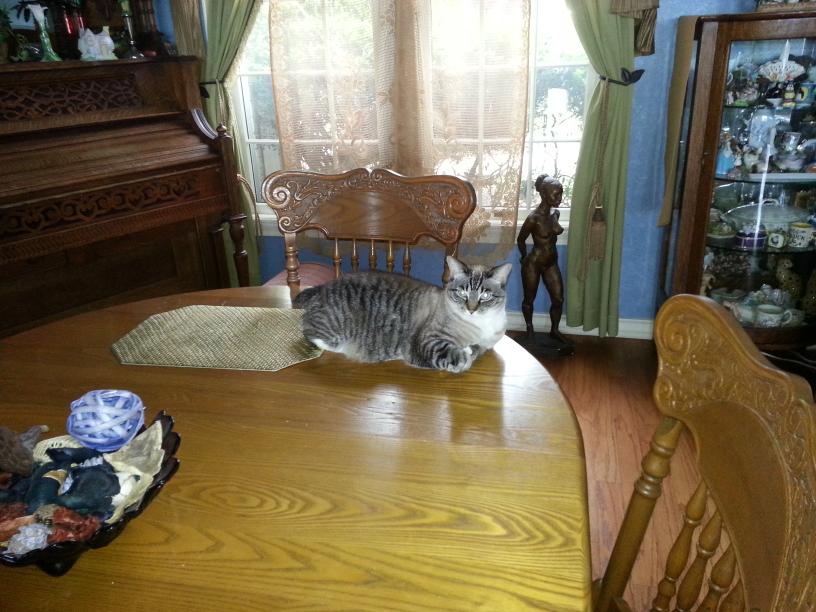 click for larger size