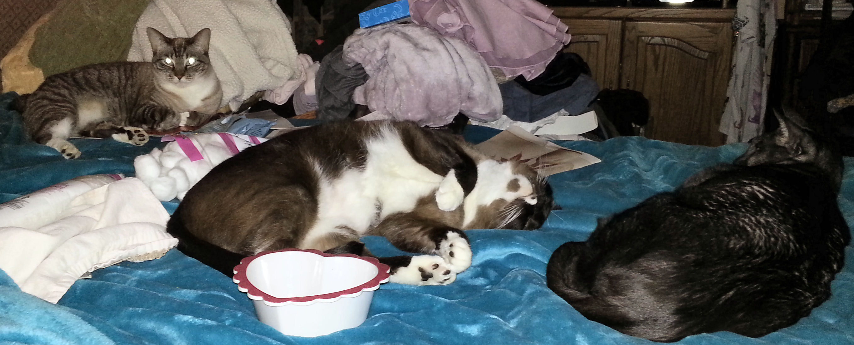 click for larger size