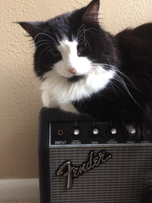 click for larger size