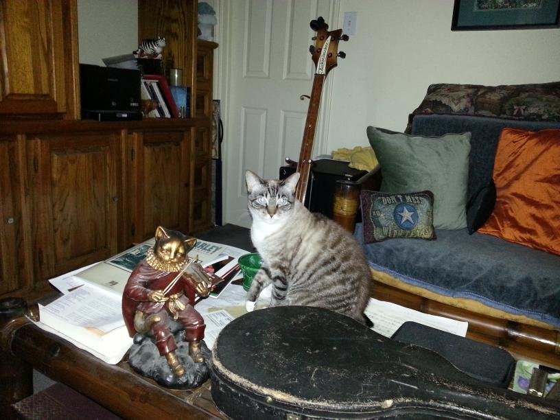 click for larger size