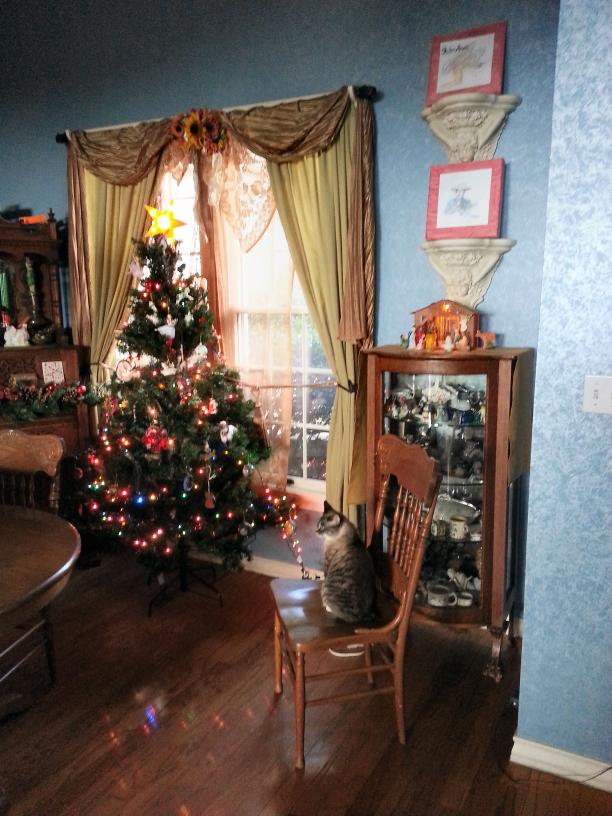 click for larger size