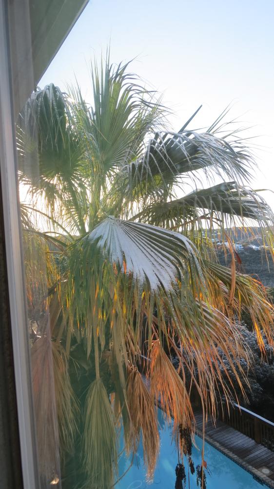 click for larger size