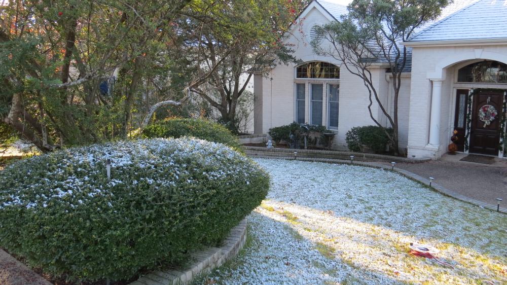 click for larger size