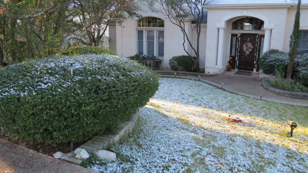 click for larger size