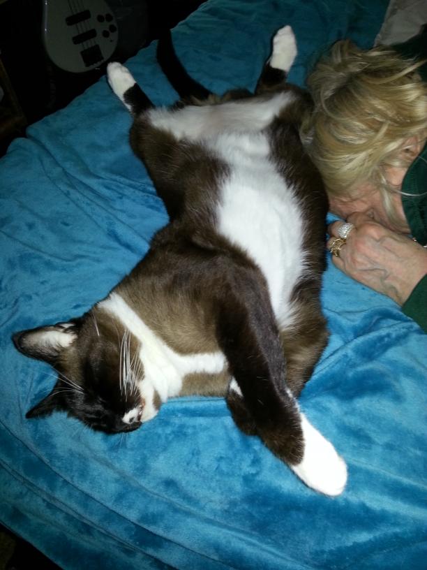 click for larger size