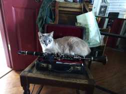 click for larger size