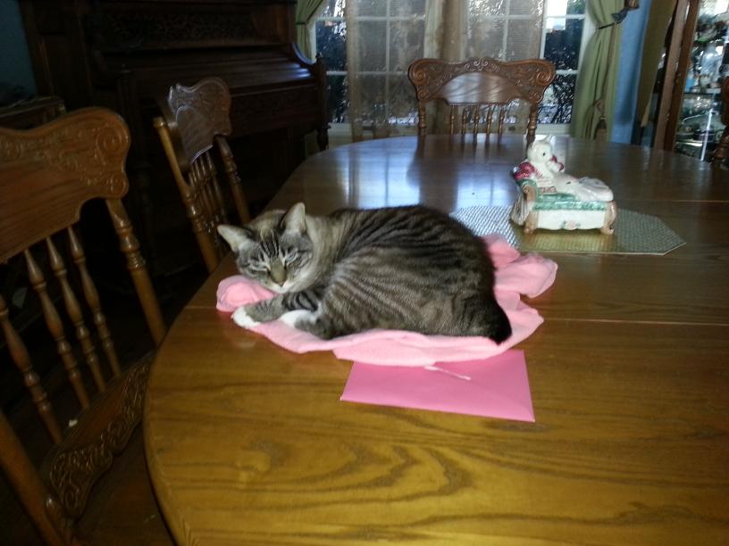 click for larger size