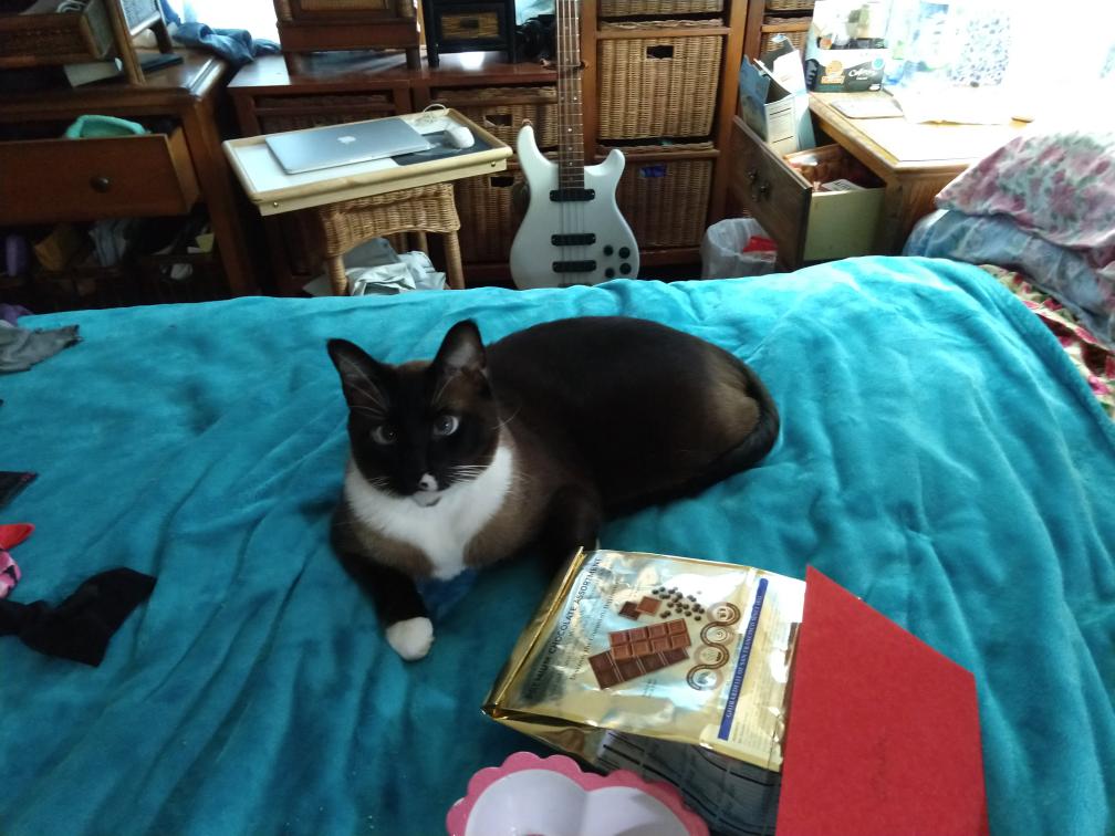 click for larger size