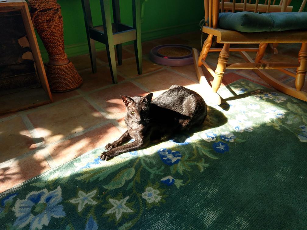 click for larger size