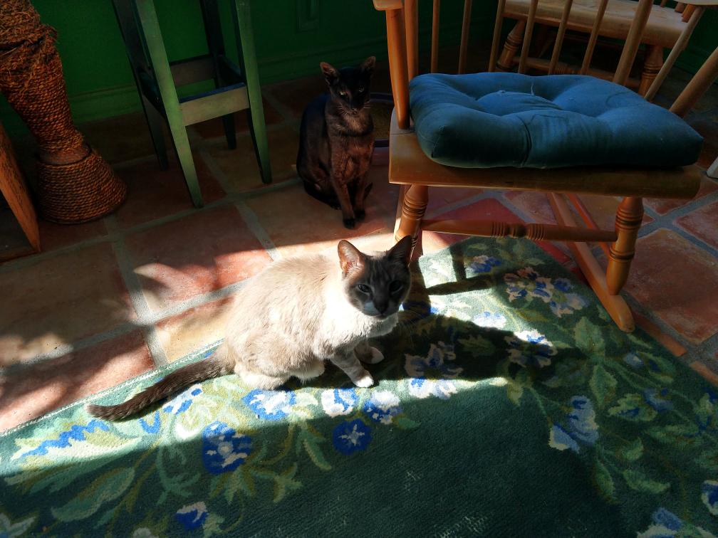 click for larger size